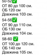 Джоггеры с высокой посадкой INS-497A460