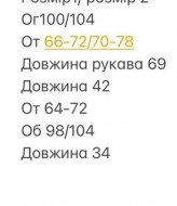 Велюровий костюм BOT-176A509