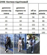 Костюм с лампасами EV-2446A830 Костюм с лампасами EV-2446A830