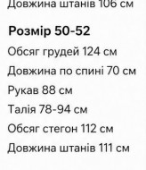 Мужской костюм двойка брюки +ветровка LYR-0237A600