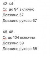 Жіночий лонгслів INNA-187A350