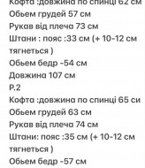 Флисовый спортивный костюм DAP-628A650