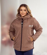 Синтепоновая куртка DV-R3688A800