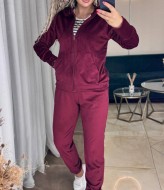 Велюровый костюм SC-6047A490