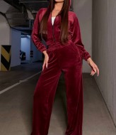 Велюровий прогулянковий костюм TS-473A650