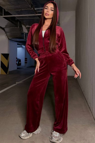 Велюровий прогулянковий костюм TS-473A650