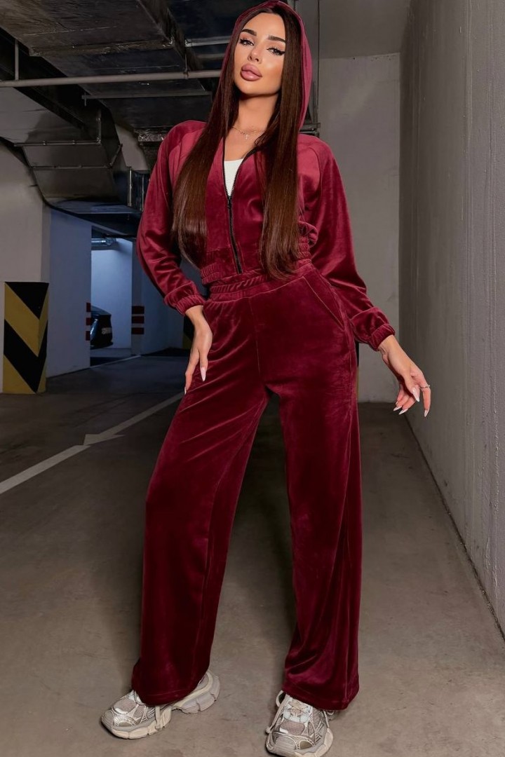 Велюровий прогулянковий костюм TS-473A650