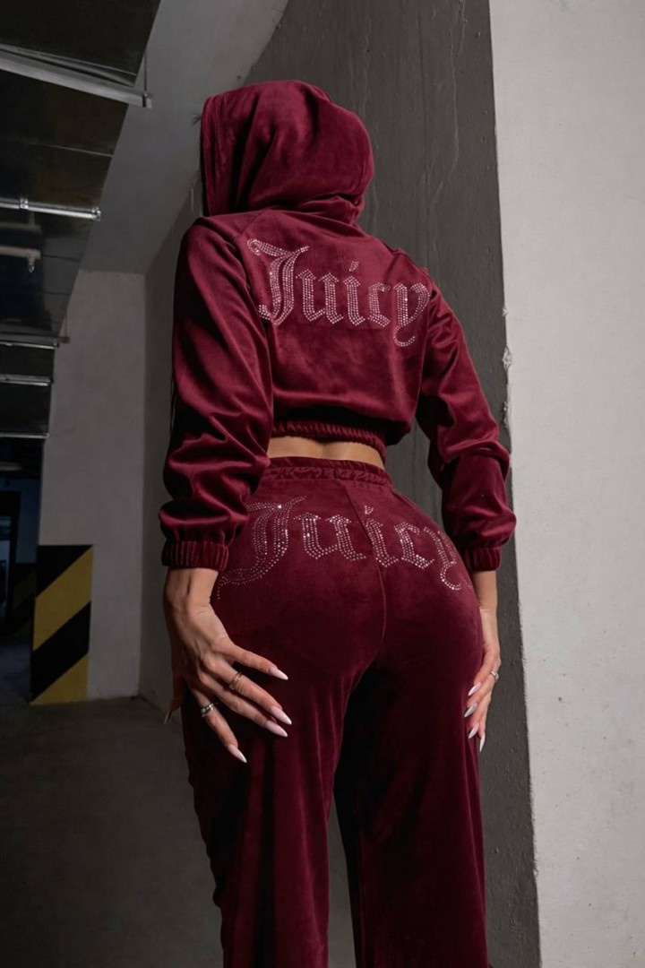 Велюровий прогулянковий костюм TS-473A650