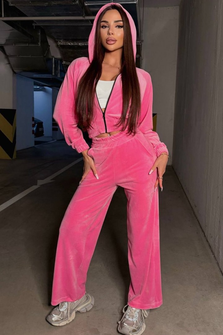 Велюровий прогулянковий костюм TS-473A650