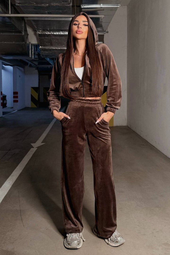 Велюровий прогулянковий костюм TS-473A650