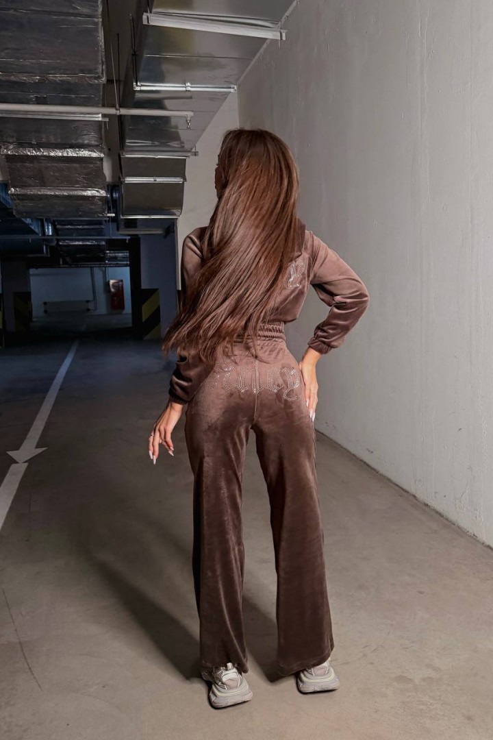 Велюровий прогулянковий костюм TS-473A650