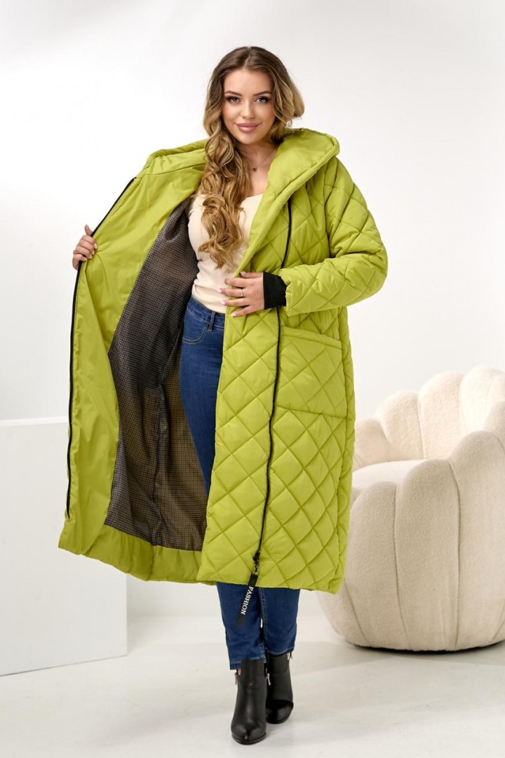 Демисезонное пальто с капюшоном DV-R3714A1400