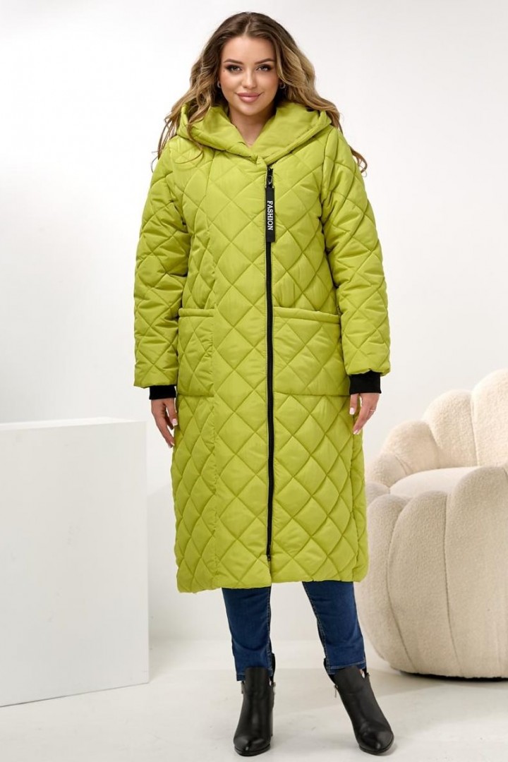 Демисезонное пальто с капюшоном DV-R3714A1400