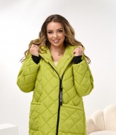 Демисезонное пальто с капюшоном DV-R3714A1400