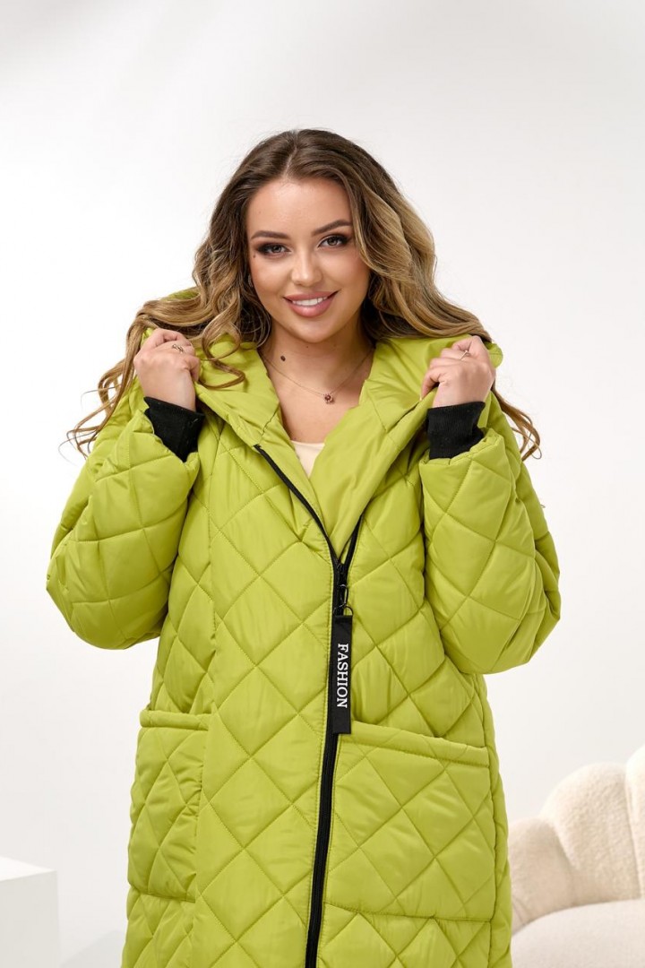 Демисезонное пальто с капюшоном DV-R3714A1400