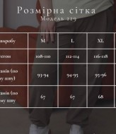 Штаны джоггеры NBR-229A580