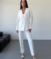 Тройка костюм  ANA-1680A22