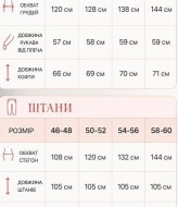 Велюровый костюм XOF-7026A650