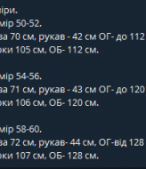 Изысканный костюм IT-7557A750