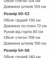 Мужской спортивный костюм LYR-0281A650