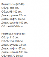 Костюм спортивный флисовый  VM-10501A510