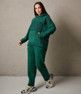 Стильный женский спортивный костюм  IS-174A1350
