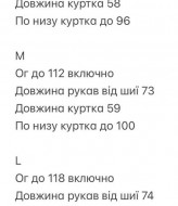 Чорна коротка куртка INNA-09A1200