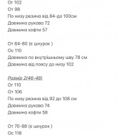 Костюм с лампасами BOT-313A709