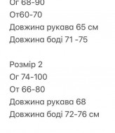 Боди с рукавами BOT-308A359