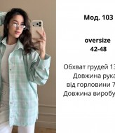 Рубашка в клетку ATE-103A650