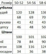 Комфортный прогулочный костюм QUA-4141A600