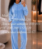 Велюровый костюм ADI-2031A499