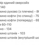 Стильный спортивный оверсайз костюм SOLO-245A1300