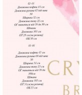 Велюровый костюм тройка CRY-1085A599