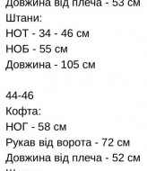 Флисовый спортивный костюм CRY-1257A600