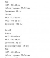 Комфортний велюровий костюм трійка CRY-1321A750