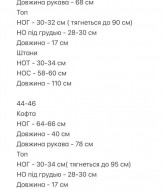Велюровий костюм трійка CRY-1346A780