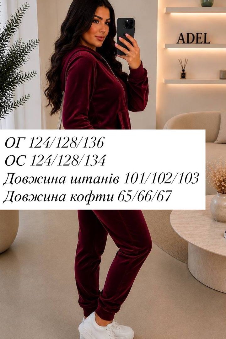 Велюровий костюм ADI-101A580