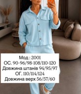 Вельветовый костюм ADI-2001A539
