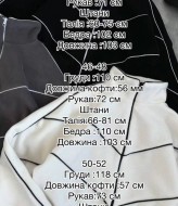 Стильный спортивный костюм IMMA-394A650 Стильный спортивный костюм IMMA-394A650