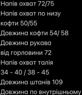 Костюм женский трехнитка на флисе  FAV-M507A1300