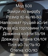 Спортивный женский костюм на флисе FAV-M508A1200