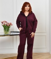 Спортивный костюм женский на флисе  NF-3867A850