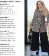 Полупальто женское DG-c41716.1A500B550