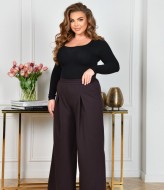 Стильні брюки NF-3821A550