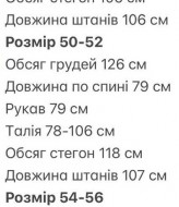 Прогулянковий костюм INT-0595A700