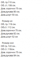 Костюм рубашка и шорты мужские VM-10482A530