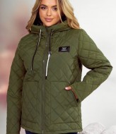 Куртка женская демисезонная с капюшоном  DV-R4423A850