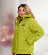 Куртка женская демисезонная с капюшоном  DV-R4423A850
