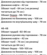 Спортивный велюровый костюм  AJO-470A640